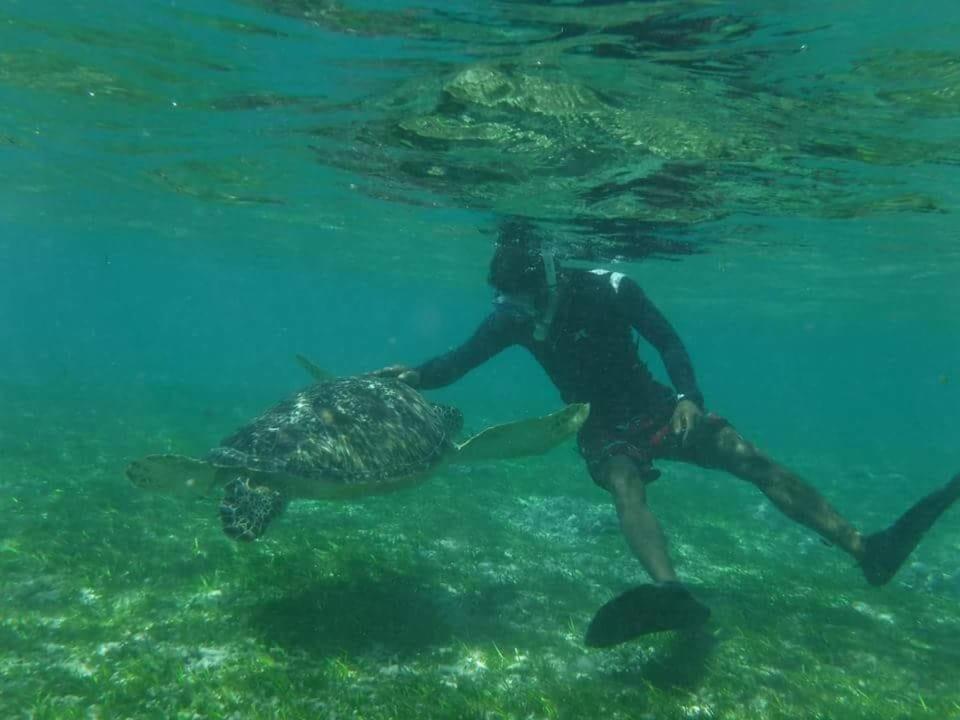 Dili Gili Gili Trawangan Exterior foto